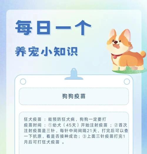 金毛幼犬疫苗接种周期及注意事项（保护你的金毛宝宝，科学合理地进行疫苗接种）
