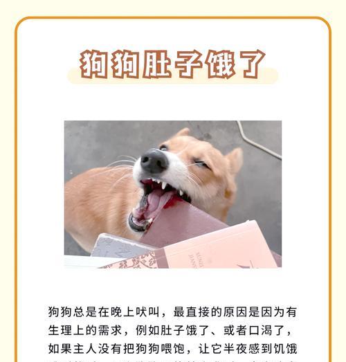 全面了解狗狗的状态和分娩知识，做好狗狗的护理与照顾（掌握关键信息，成为贴心的狗狗主人）