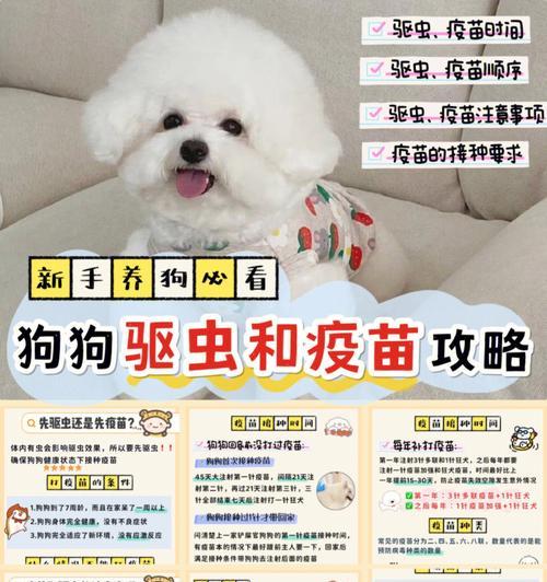 宠物驱虫篇（如何科学驱除狗狗身上的寄生虫？）