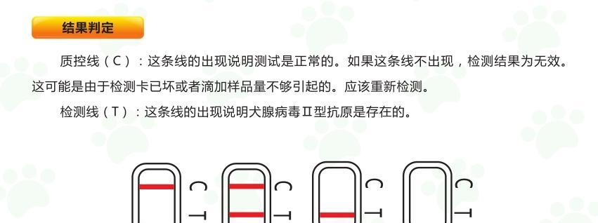 狗狗可以用验孕棒吗？（探讨狗狗使用验孕棒的可行性和注意事项）