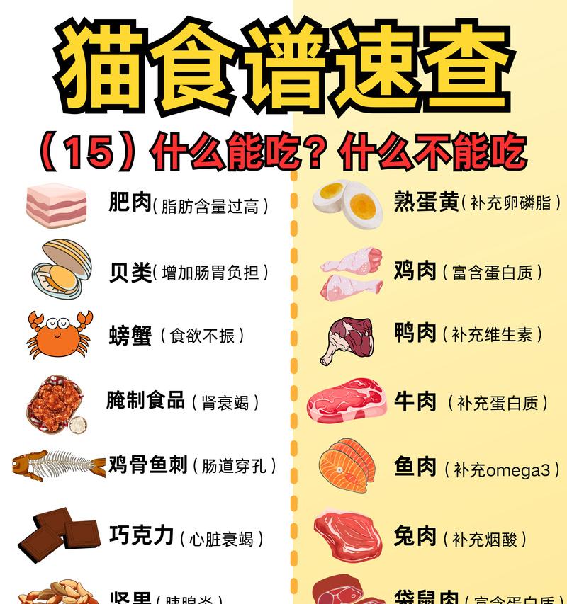 猫不进食能活多久？（饮食对猫的健康有多重要？）