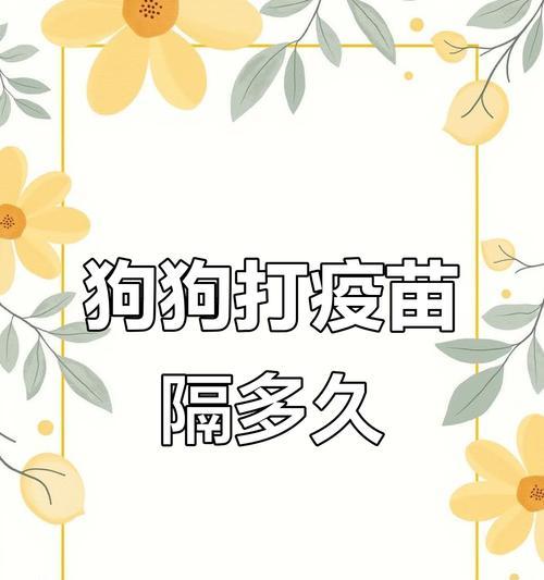 小狗疫苗注射时间表及重要性（建立健康的免疫系统，为宠物狗提供保护）