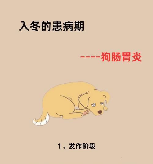 狗狗呕吐的原因及有效治疗方法（了解狗狗呕吐的常见原因和正确喂食方法，保障它们的健康）