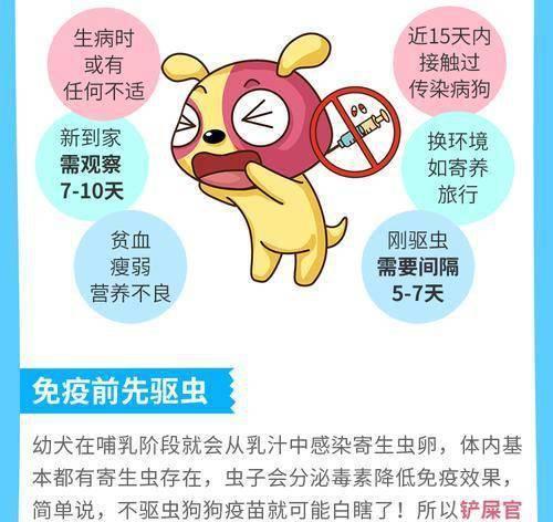 宠物疫苗（了解宠物疫苗的重要性与正确接种时机）