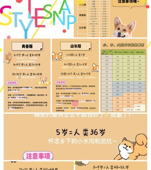 揭秘狗狗真实年龄（破解狗狗年龄的新公式，你知道吗？）