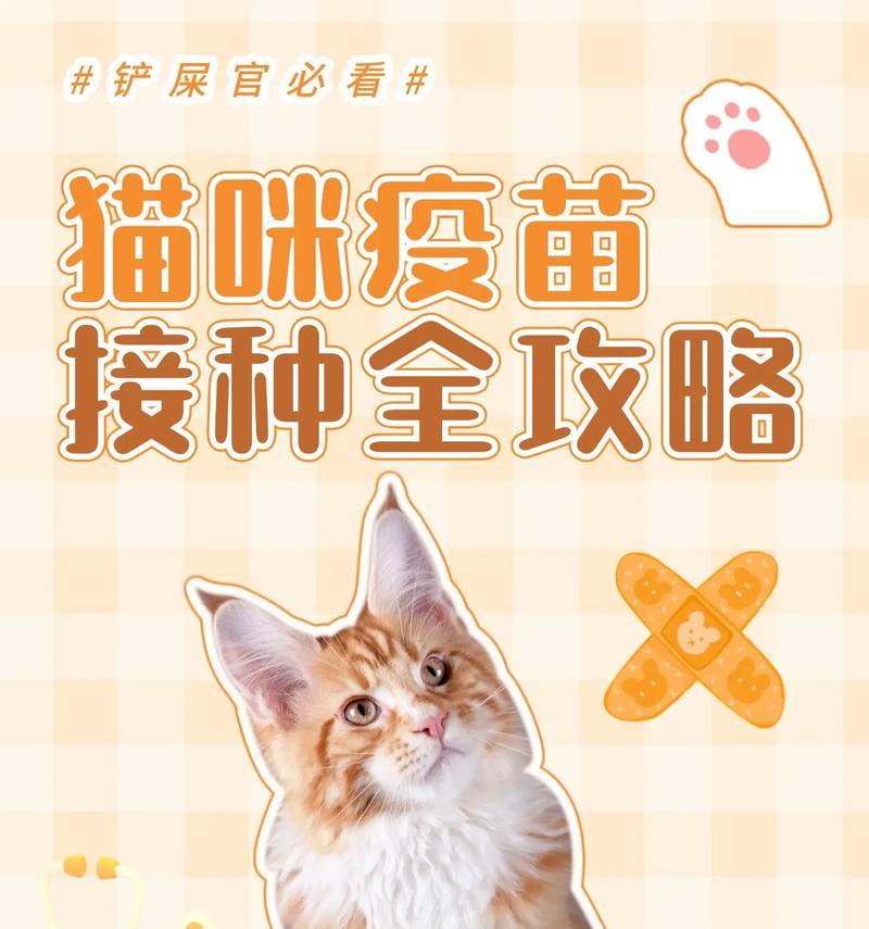 给猫打针，保护它的健康（猫疫苗知识一览，宠物福利的关键）