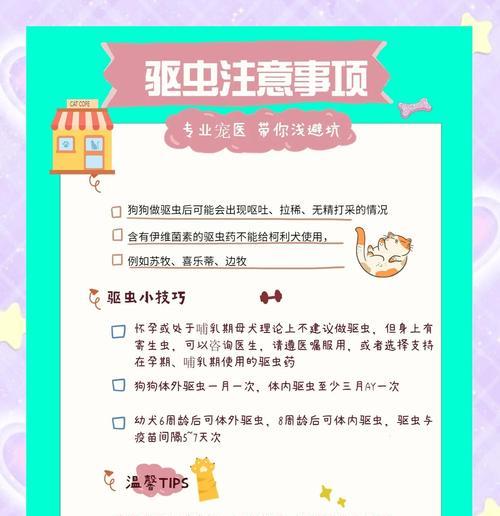 狗怀孕多久可以打虫（了解适合狗狗打虫的时机及方法）
