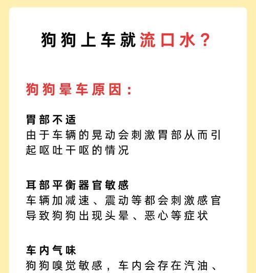狗狗晕车的症状及判断方法（如何判断狗狗是否晕车？掌握这些症状一目了然！）