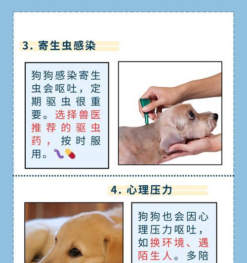 狗狗吐舌头的6种原因（揭秘狗狗吐舌头的真相，你了解几种原因？）