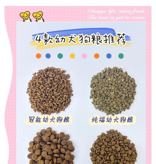 如何合理喂养成年金毛犬？（掌握正确的金毛犬喂食量，让它健康快乐成长）