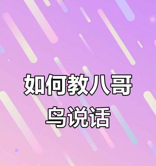 八哥学说话的奇幻旅程（探索八哥学说话的时间和方法）