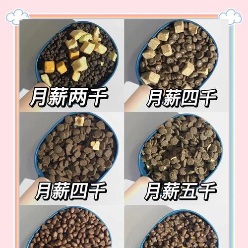以3kg猫粮能吃多久？（揭秘猫咪的食量与持久力）
