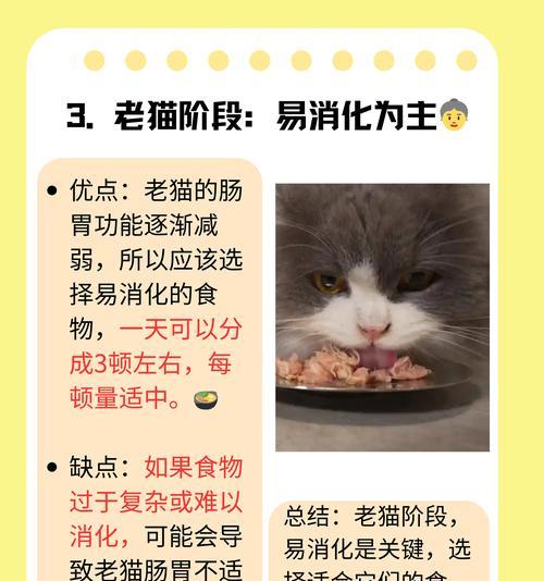 为什么幼猫要少吃猫罐头？（幼猫不能吃成猫罐头的原因和注意事项）