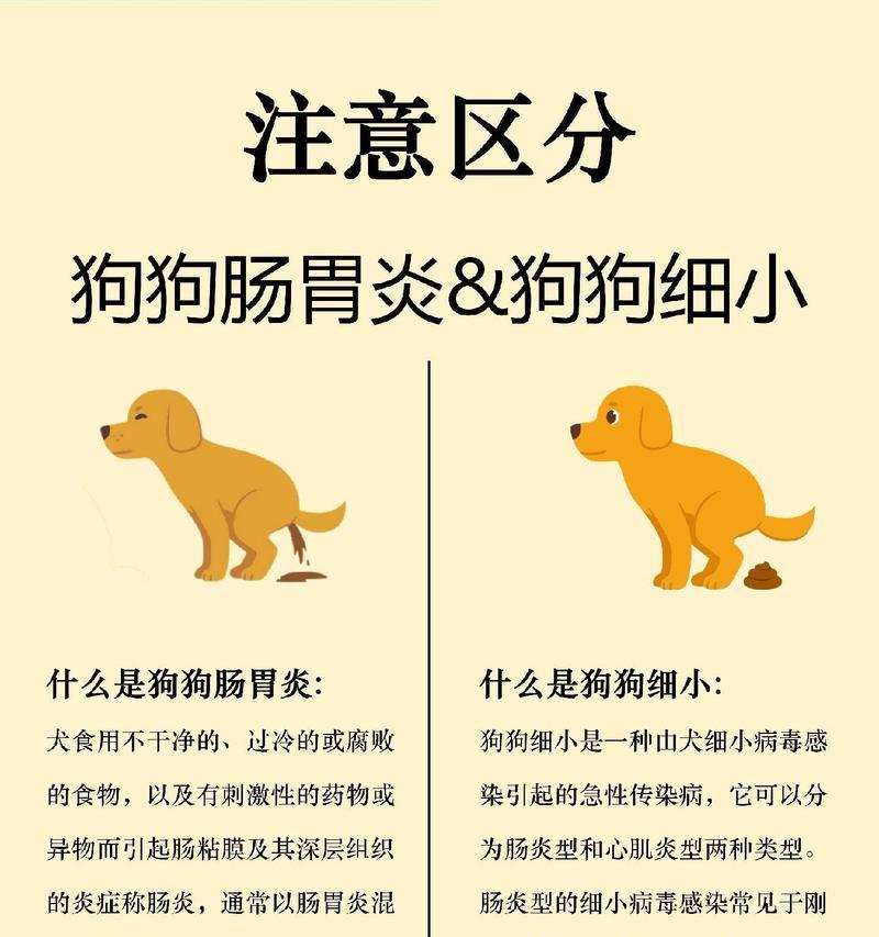 狗狗得细小的原因与预防方法（了解狗狗得细小的几种原因，有效预防细小疾病）