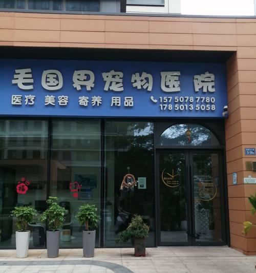 南京宠物医院大全（南京地区提供宠物医疗服务的医院汇总）