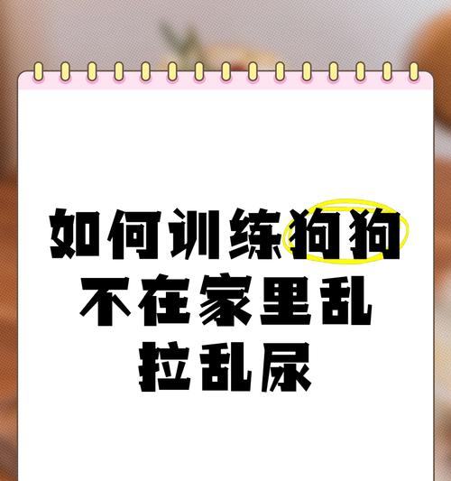 狗狗的排尿习惯与健康（了解狗狗不拉尿的时间间隔及相关健康问题）