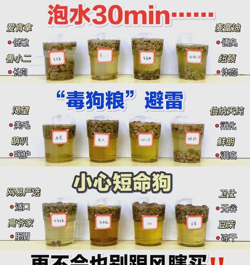 古牧喂狗粮要泡多久才合适？（正确喂养2个月大的古牧宝宝所需的关键信息）