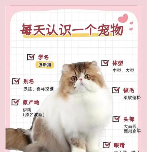 波斯猫（探寻波斯猫养殖的衰落原因及趋势分析）