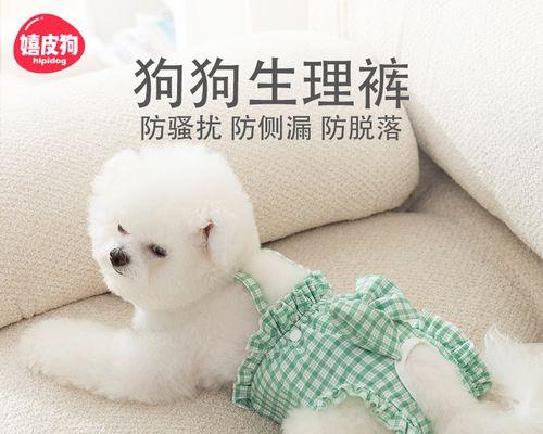泰迪大姨妈配种时间及关键因素分析（探讨泰迪犬配种的最佳时间及影响因素，提供科学的繁殖建议）