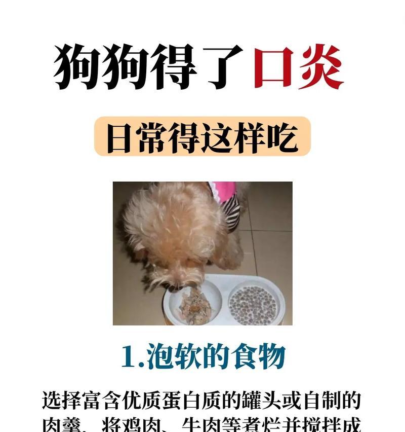 幼狗消化时间（幼狗消化时间与食物类型、年龄和健康状况有关）