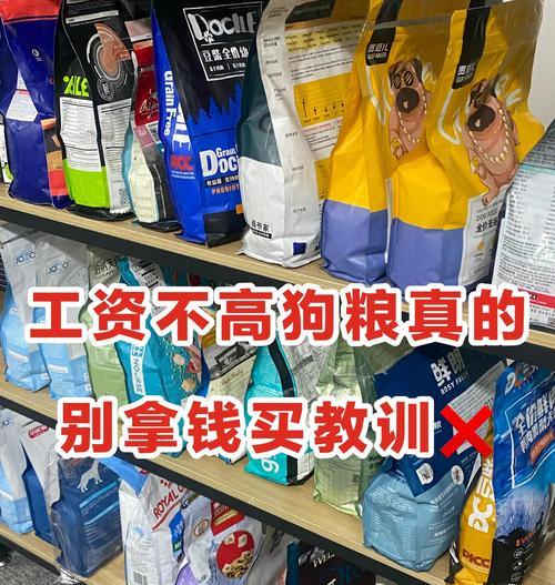 狗狗吃了狗粮多久拉屎？（揭秘狗粮消化过程及影响因素）