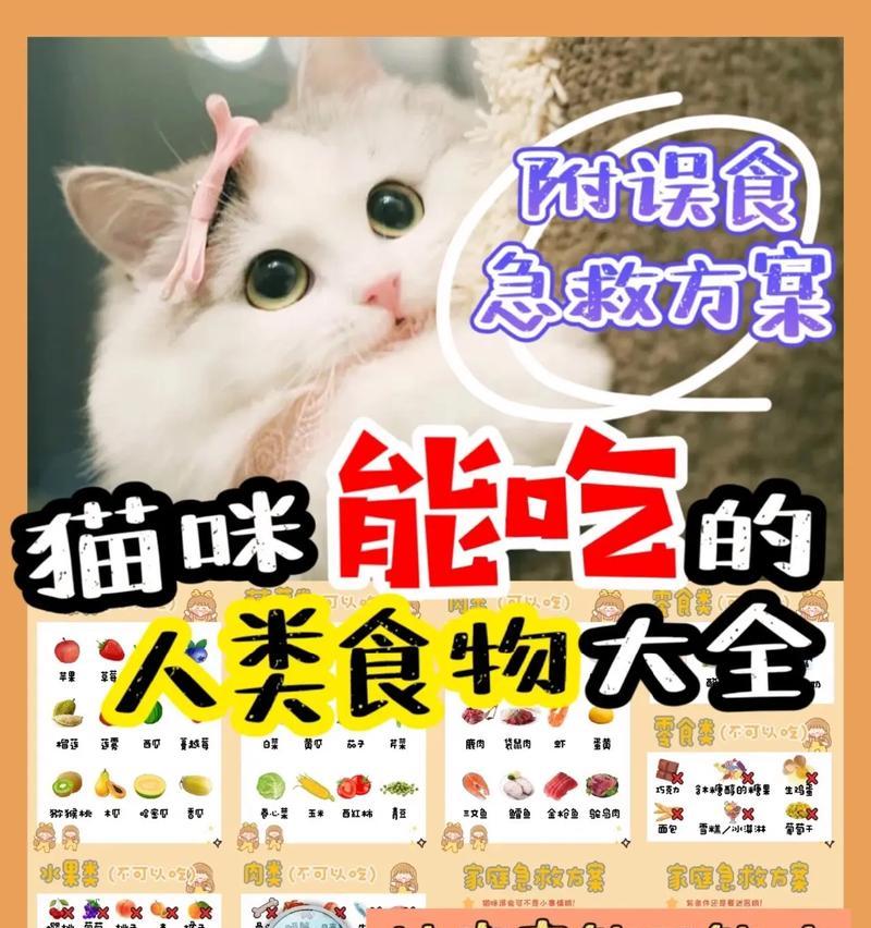鱼猫的食物选择与营养需求（了解鱼猫的食物偏好，合理满足其营养需求）