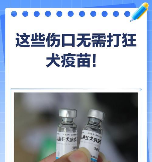 宠物狂犬疫苗（探究宠物狂犬疫苗的生效时间、保护期限和关键因素）
