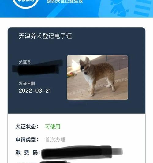 办理狗证的流程及时间（了解办理狗证的步骤，掌握办理时间）