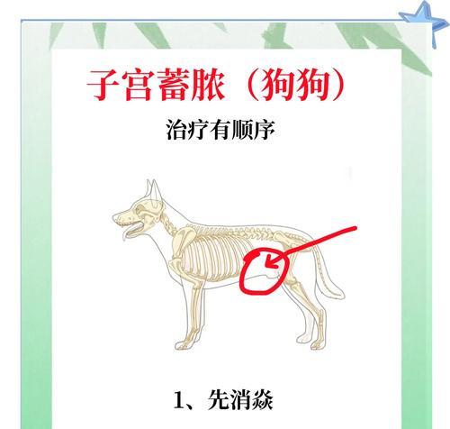 母狗例假期间桃子肿的时间有多长？（探究母狗例假期间桃子肿胀的时间长度及原因）