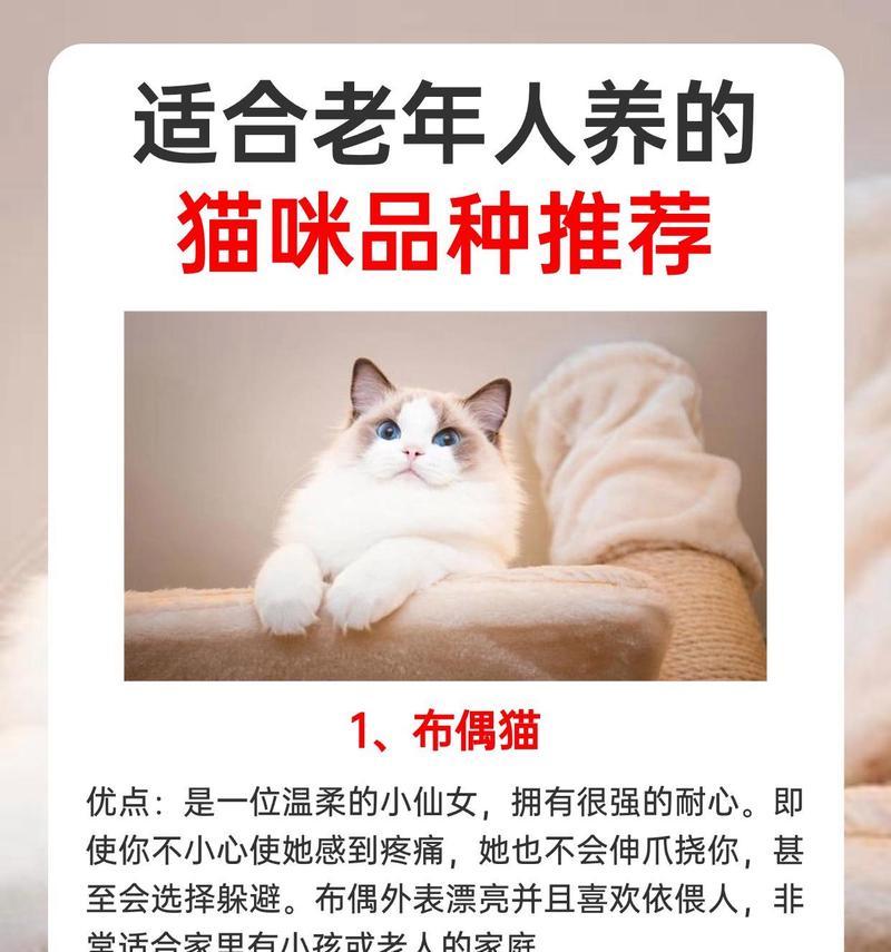 养一只猫所需空间及精力投入量（猫咪需要的空间和日常精力花费）