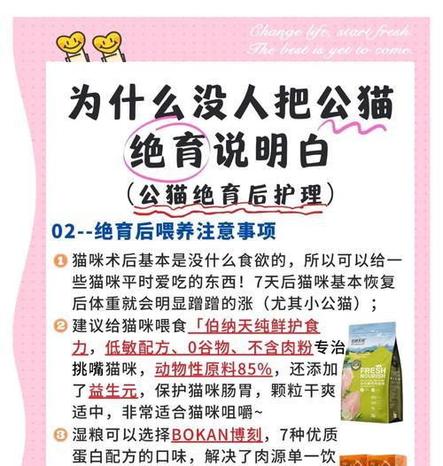 公猫绝育后康复所需时间（了解公猫绝育手术后的康复时间与注意事项）