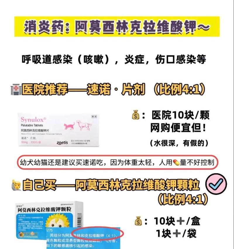 给狗吃药的注意事项及常用药品推荐（了解狗狗用药，守护它的健康）
