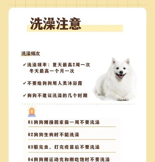 四个月大的小狗需要多久洗澡？（小狗洗澡频率和注意事项）