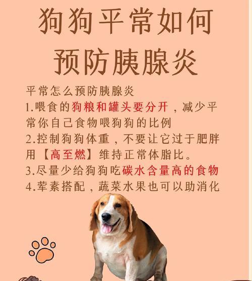 狗狗食用禁忌（保护爱宠健康，切勿喂食这六种食物）