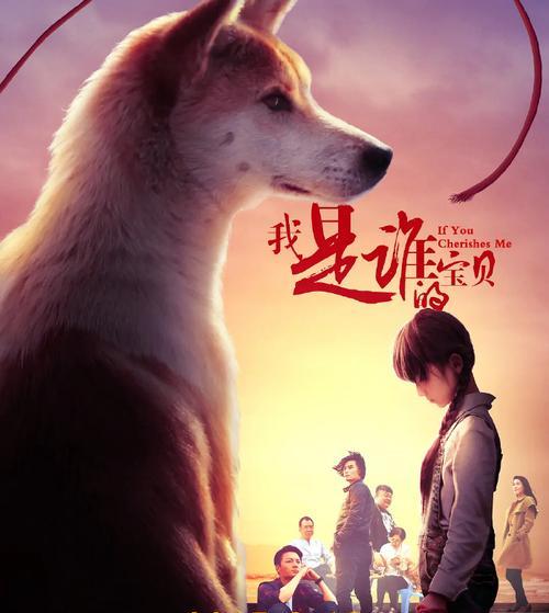 狗的电影世界（探索电影中与狗有关的故事，感受动物和人类之间的特殊纽带）
