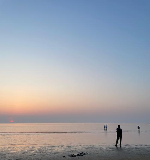 海边放飞狗狗的天堂（畅游大海，与狗狗共度无忧假期）