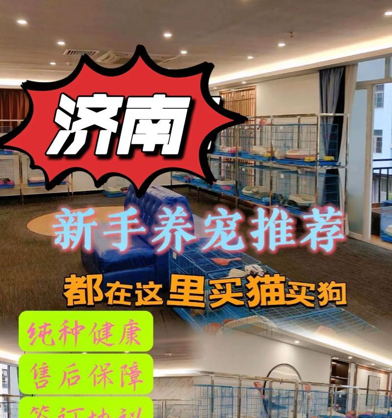 探索济南市的知名犬舍（一览济南市犬舍景点，畅游犬界乐园）