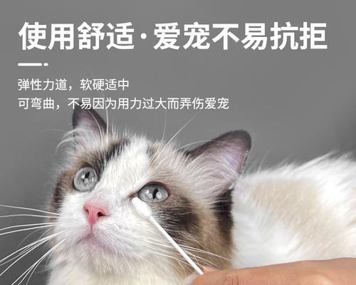 猫咪清洁用品的选择与使用技巧（猫咪清洁用品有哪些？如何正确选择和使用？）