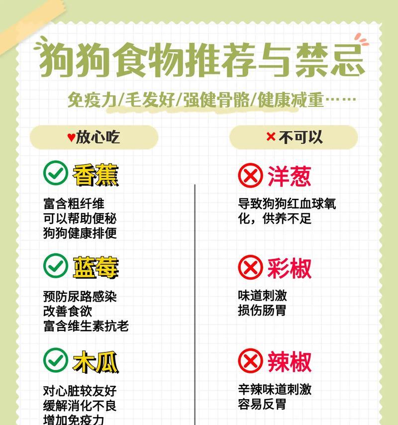 探究狗狗乱吃东西的原因及纠正方法（了解狗狗乱吃东西的危害与预防措施）