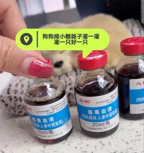 小狗患细小病，康复需要多长时间？（探索小狗细小病康复的时程和关键因素）