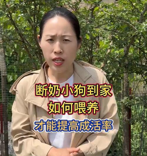 狗狗断奶时间（了解合适的断奶时间以确保幼犬健康成长）