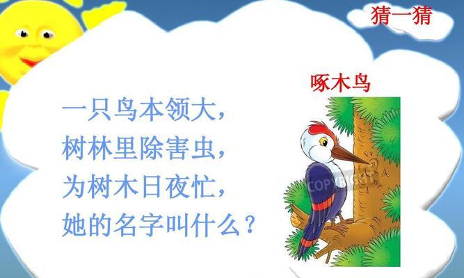 鸟类的多样本领与能力（揭秘鸟类的惊人本领，探索其独特能力）