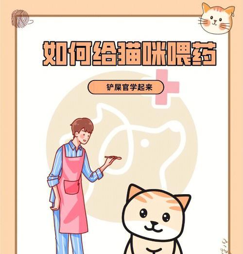 观察小猫吃药的效果需要多久？（药效观察期长短取决于什么？）