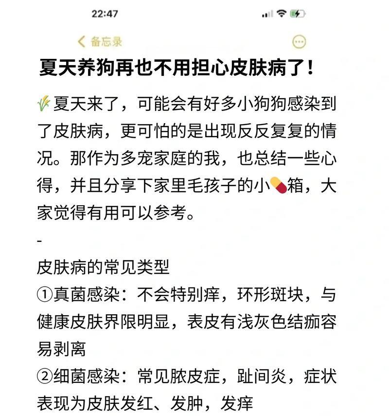 狗狗不吃饭是怎么了？（探究狗狗不吃饭的原因及应对措施）