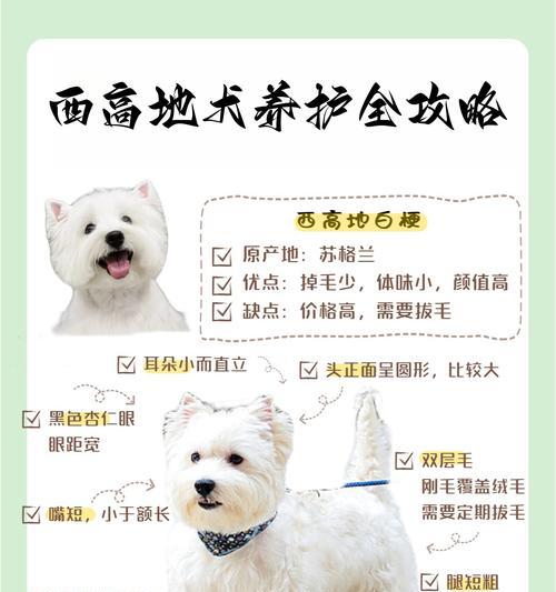 狗狗数据测量的重要性及方法（掌握狗狗健康关键数据测量技巧）
