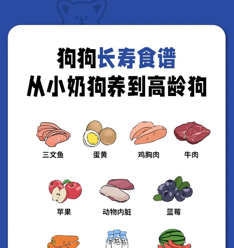 狗狗的健康水果盛宴（推荐6种最适合狗狗吃的水果，让它们越吃越健康）