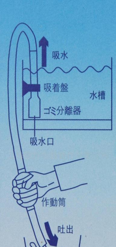 水族养护（掌握换水周期，让鱼儿健康成长）