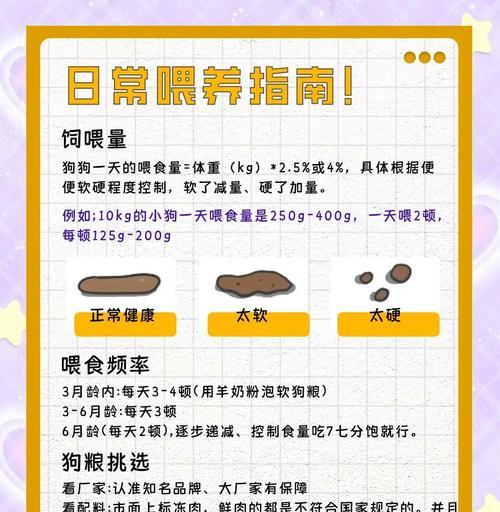 泰迪犬的标准体重及正确照顾方法（了解泰迪犬的理想体重，让它健康快乐成长）