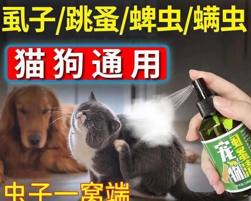 狗吃除蜱虫药的选择指南（了解不同种类的狗用除蜱虫药，保护宠物免受寄生虫侵害）
