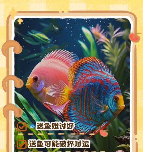 饲养观赏鱼的技巧和注意事项（了解关键饲养要素，让你成为观赏鱼的专家）